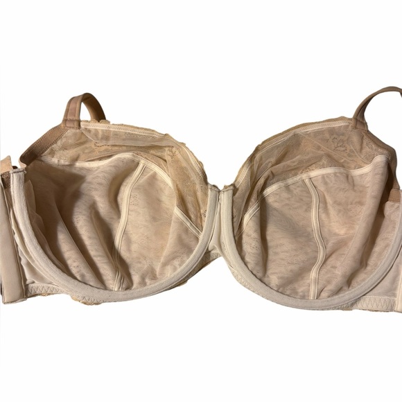 Cacique Modern Lace 3 pc Cup Bra - Picture 5 of 9